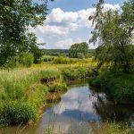 Limburg